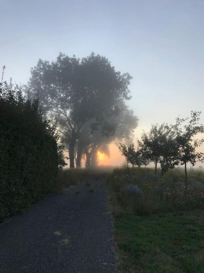Zomerdijk-Inn Zuid Wanneperveen Exterior foto